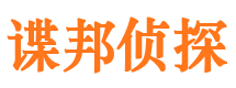 新平外遇调查取证